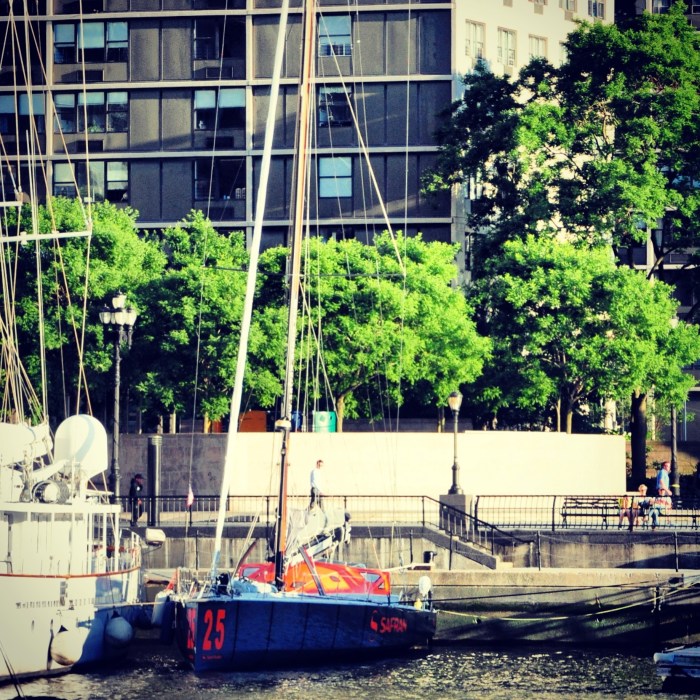 zdj?cie-51_safran marina