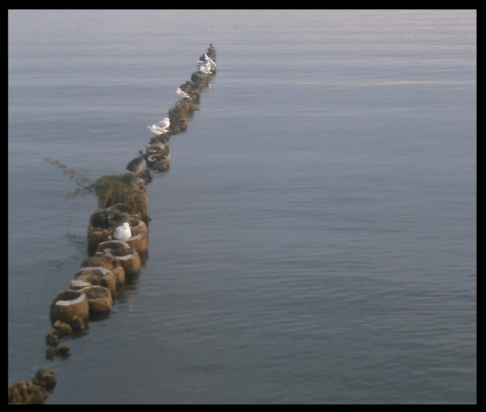 Wreszcie wiem, gdzie one 