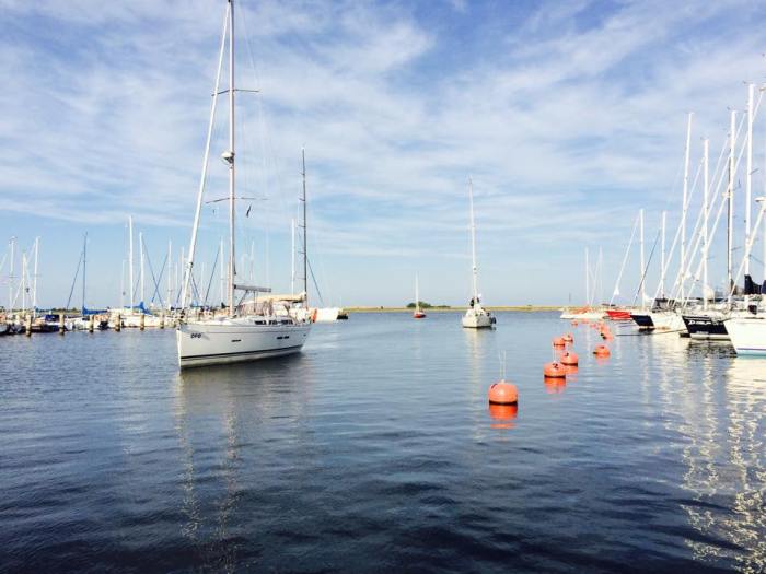 Po bitwie./ Fot. A.Warecka