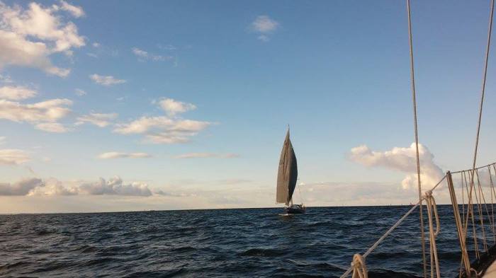 Hobart na mecie. / Fot. D. Nowak