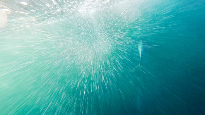 Corinna Halloran/Team SCA/Volvo Ocean Race December 13, 2014. Leg 2 onboard Team SCA. A dolphin swims around Team SCA in the Omani sea.